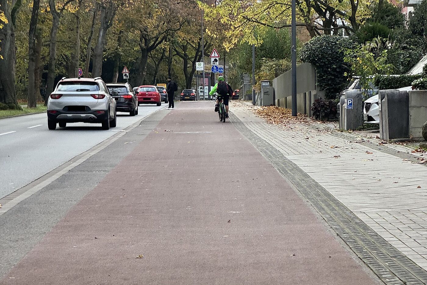 Frisch vom Laub geräumt