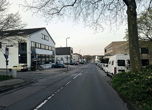 Die Sicht auf den Grünen Weg bergab in Richtung Außenring