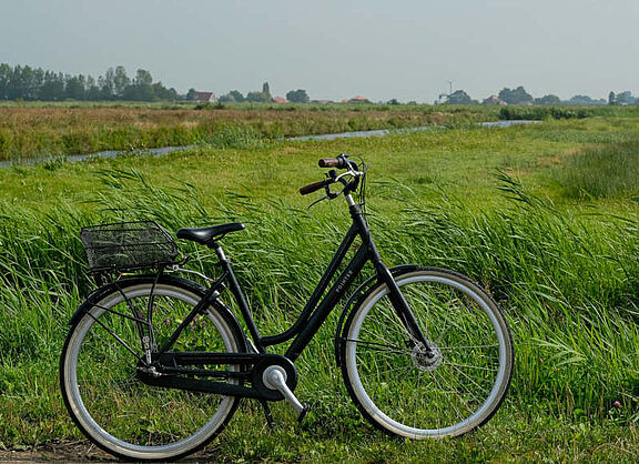 Ein Fahrrad steht vor einem windgeschüttelten Feld
