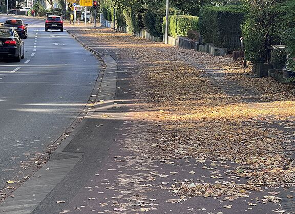 Radweg auf der Ludwigsallee, nur ein schmaler Streifen bleibt.