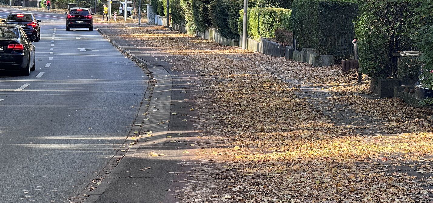 Radweg auf der Ludwigsallee, nur ein schmaler Streifen bleibt.