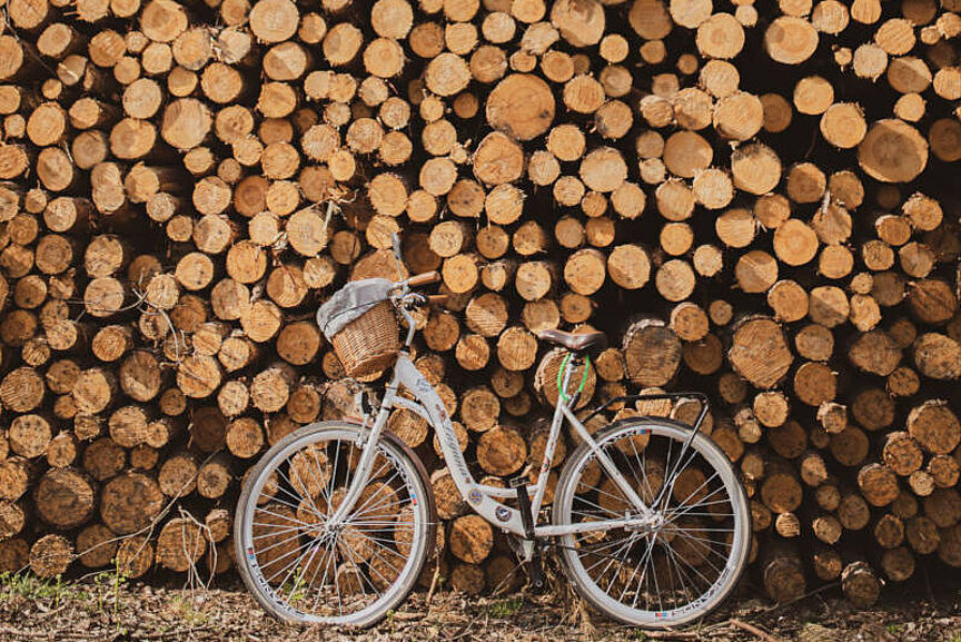 Fahrrad mit Weihnachts(?)bäumen Ein Fahrrad lehnt an einem Stapel gefällter Baumstämme