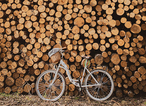 Ein Fahrrad lehnt an einem Stapel gefällter Baumstämme