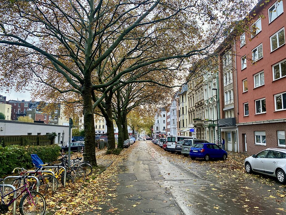 Lochnerstraße Höhe Westpark Blick in Fahrtrichtung Kreuzung Junkerstraße vom Westpark aus