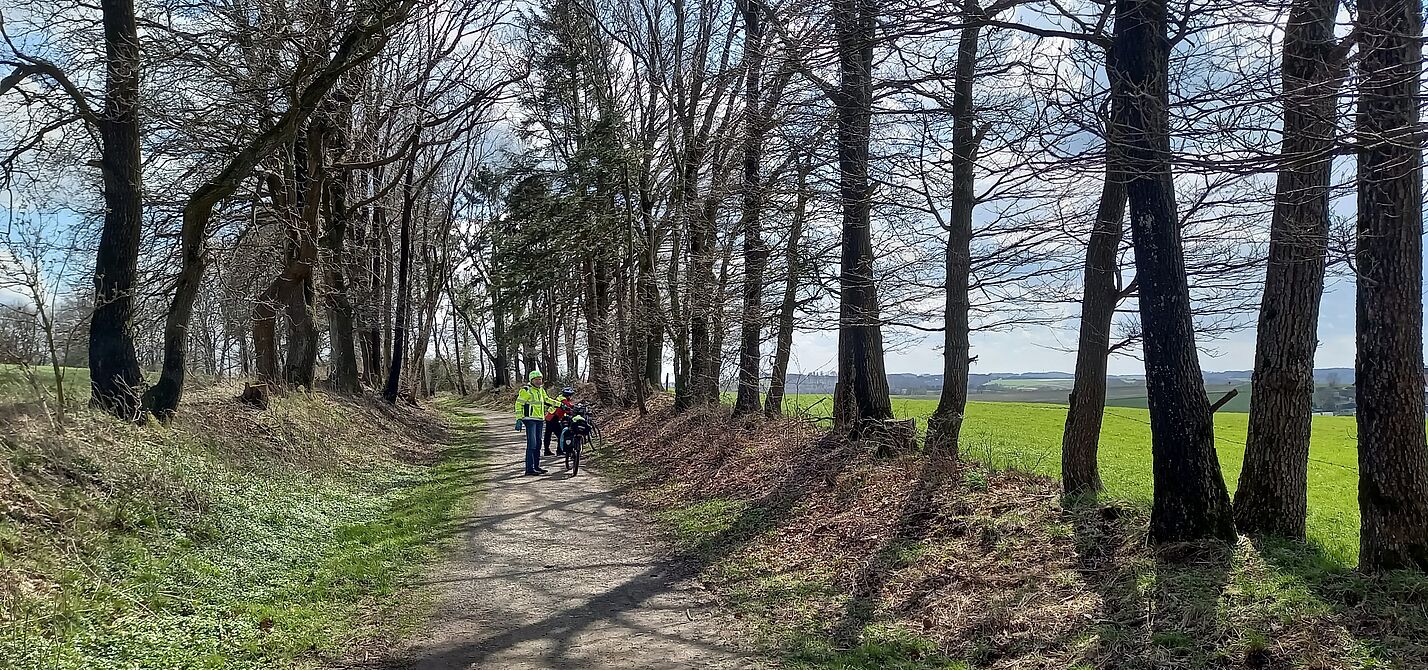 Auf der Kleinbahntrasse Richtung Breckerfeld
