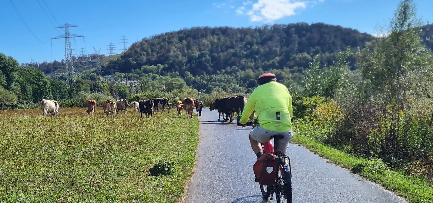 Tierische Begegnung am Ruhrtalradweg Tierische Begegnung am Ruhrtalradweg