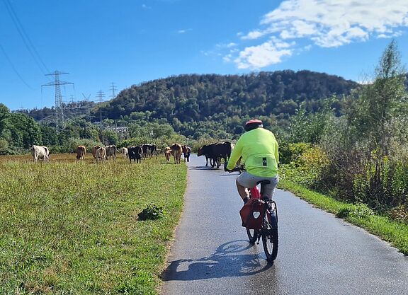 Tierische Begegnung am Ruhrtalradweg