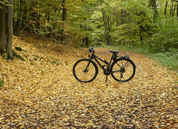 Radfahren im Herbst Radfahren im Herbst
