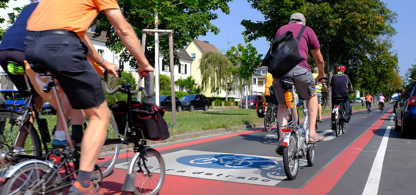 2024-08-Exkursion_Bonn_-_ADFC_NRW__78_.JPG Eine neu markierte Fahrradstraße in Bonn. Man sieht mehrere Radfahrer:innen.