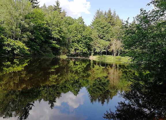 Warndtweiher Warndtweiher