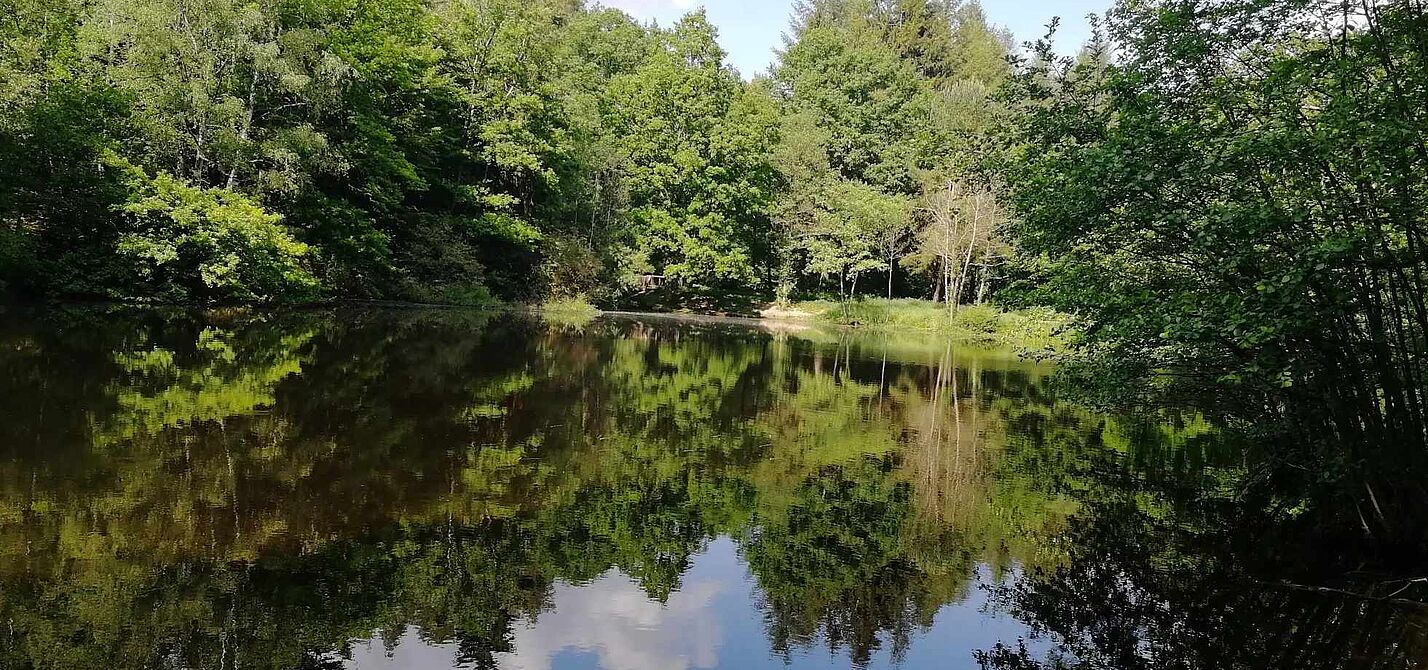 Warndtweiher