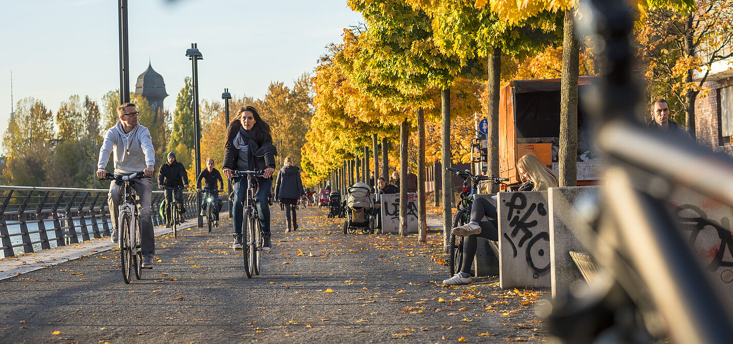 Ab aufs Rad: Der Herbst lockt mit bunten Farben nach draußen.